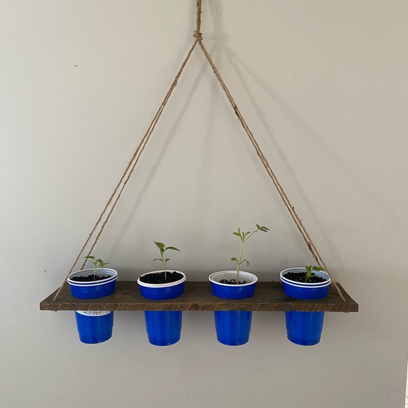 Herb/seedling starter shelf - Picture 2 of 4